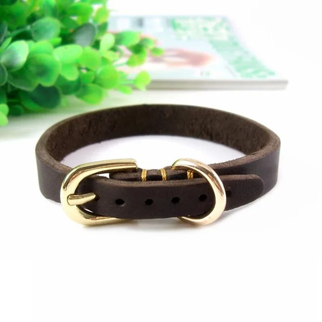 static/picture/Medium-and-Small-Dog-Collar-Genuine-Leather-Dog-Collar-Adjustable-Soft-Brown-Real-Leather-Puppy-Collar.jpg_640x640.jpg