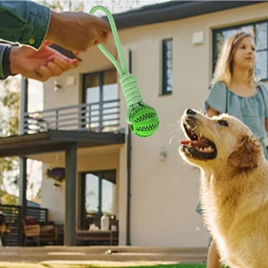 The Tailored Tail green TPR ball chew toy with pull rope being held for a golden retriever in a backyard setting